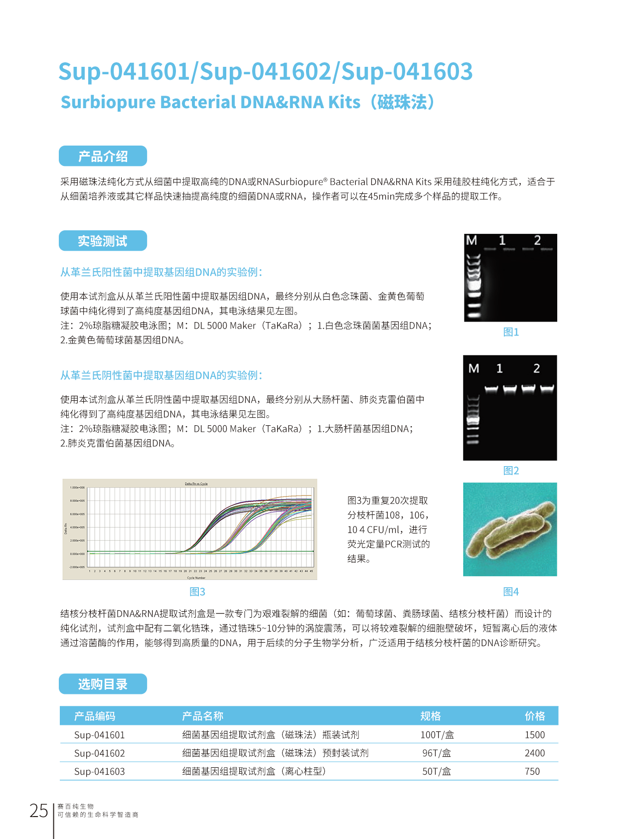 畫板 25.png